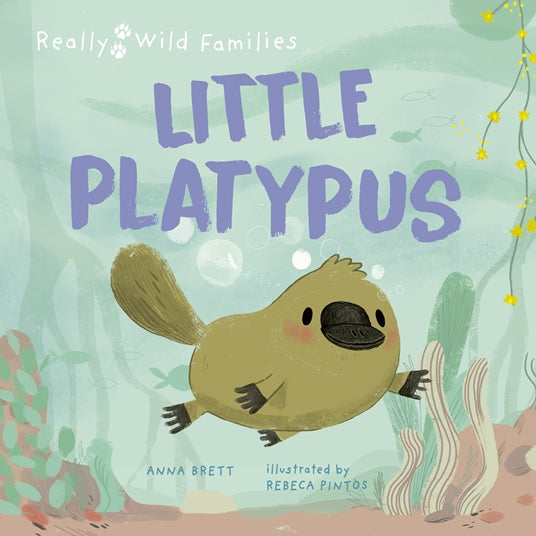 Little Platypus - Madison's Niche 