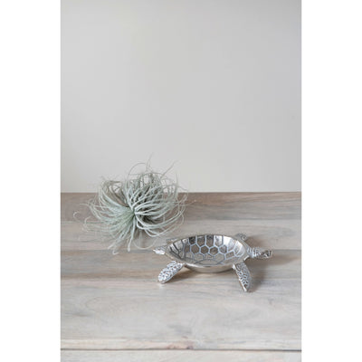 Aluminum Tortoise Dish - Madison's Niche 