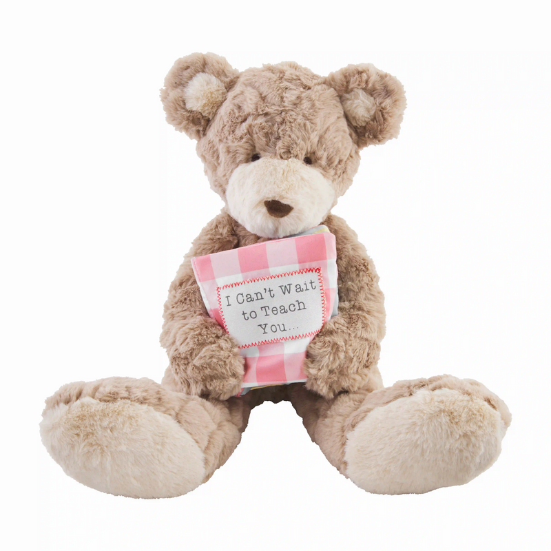 Big Sister Book and Bear - Madison's Niche 
