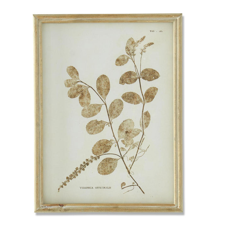 Brown Floral Print - Madison's Niche 