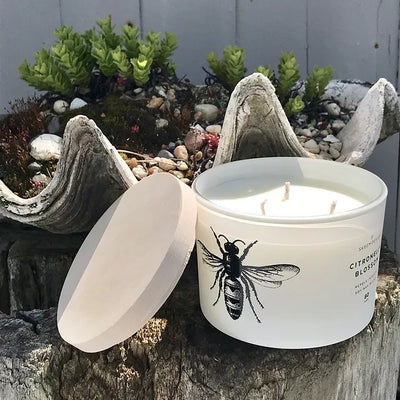 Citronella Blossom Candle - Madison's Niche 