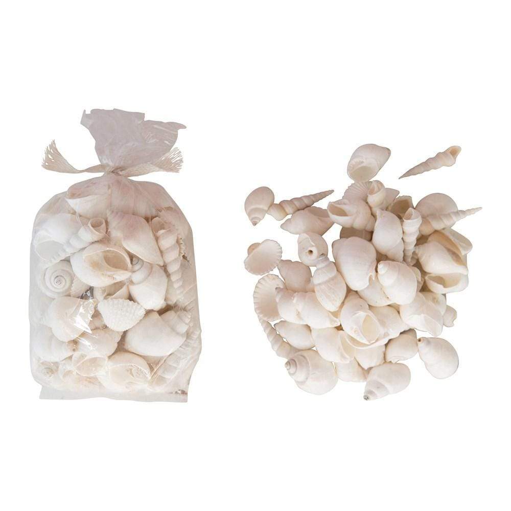 Shells in a Bag - Madison's Niche 
