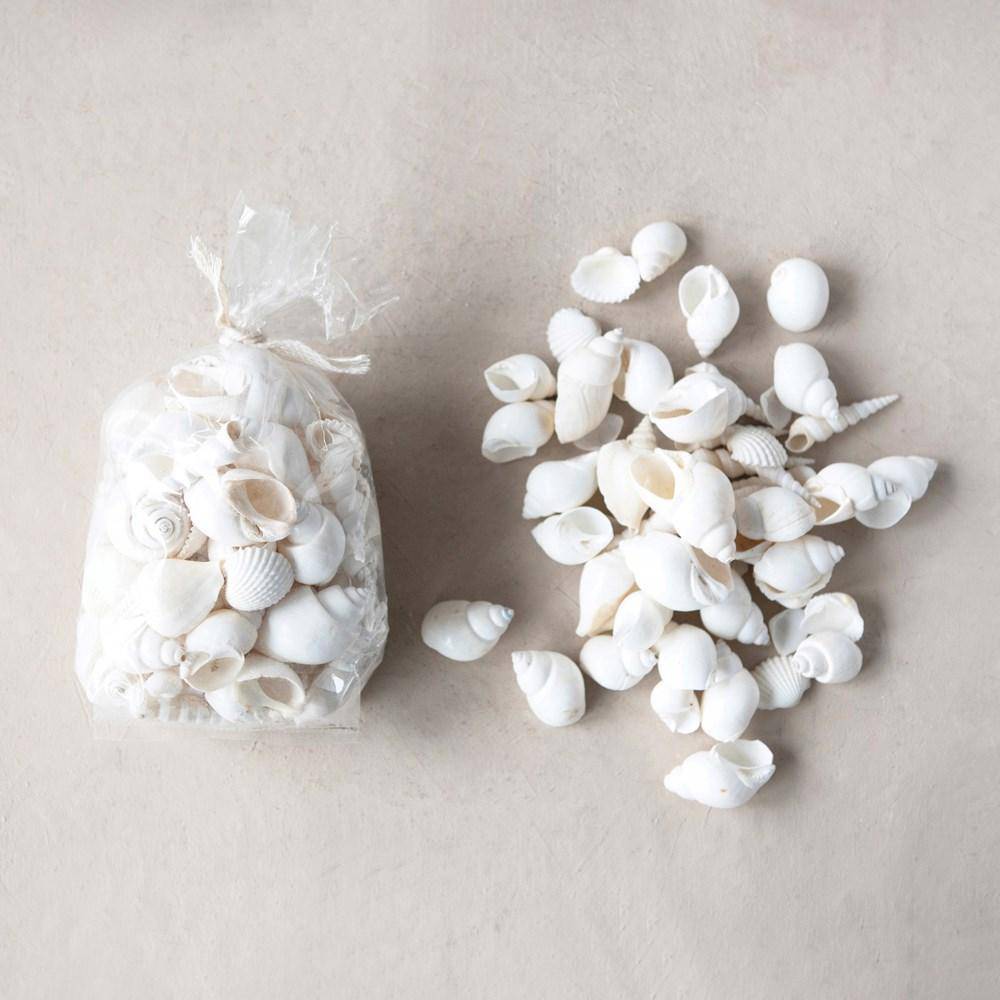 Shells in a Bag - Madison's Niche 