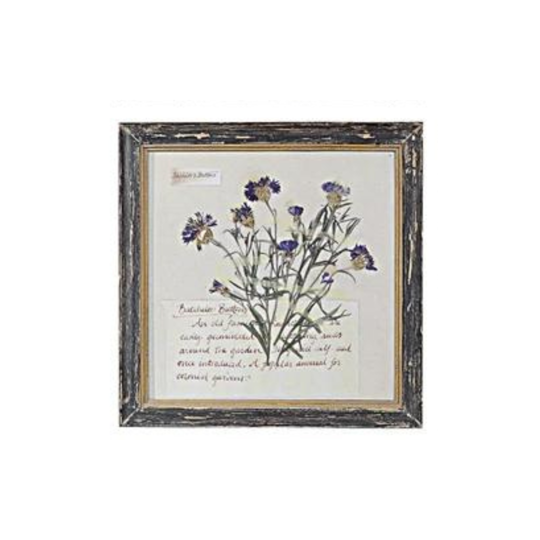 Floral Framed Wall Art - Madison's Niche 