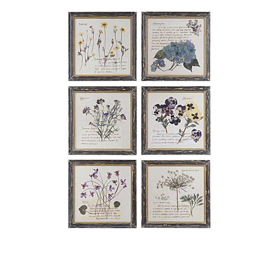 Floral Framed Wall Art - Madison&