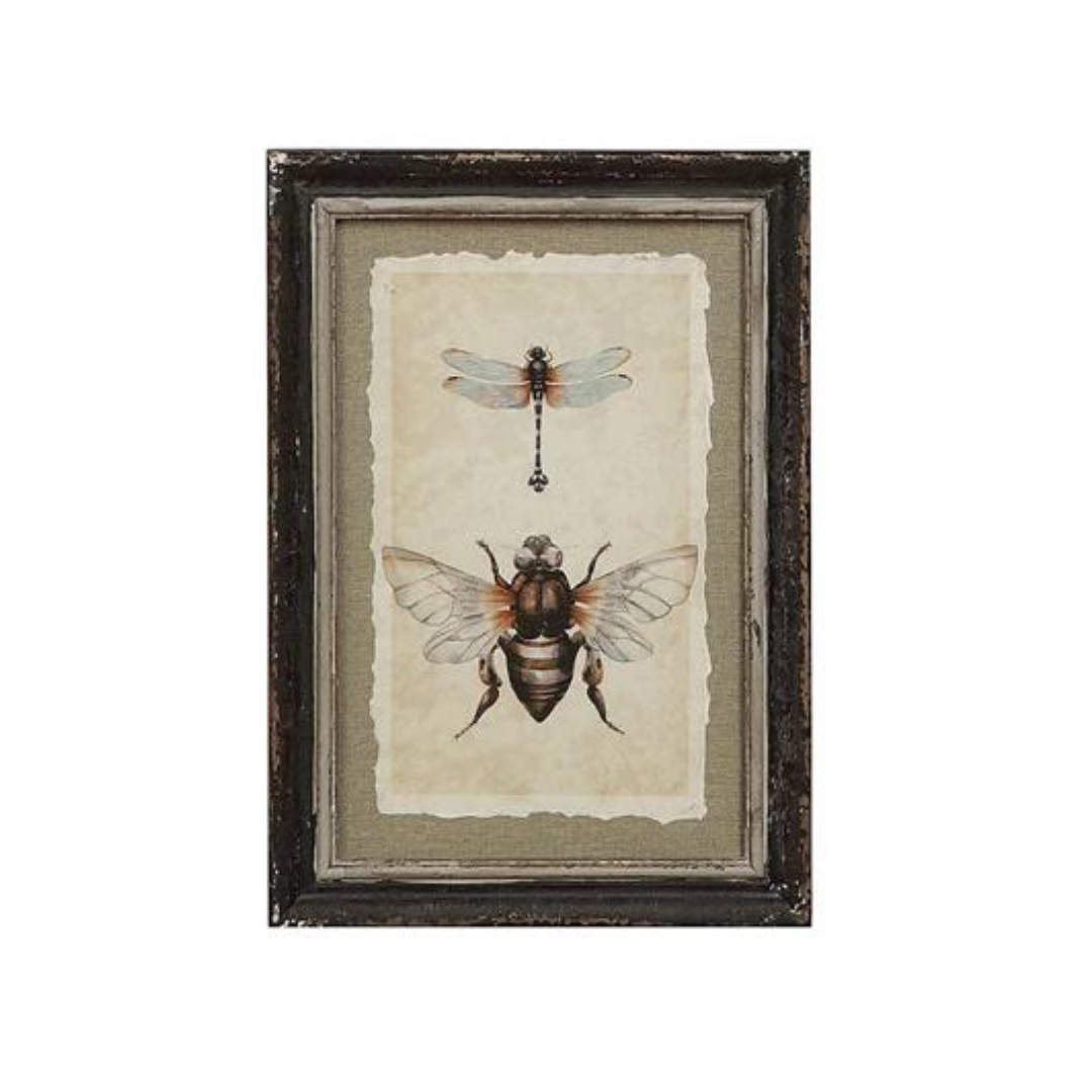 Framed Insect Print - Madison's Niche 