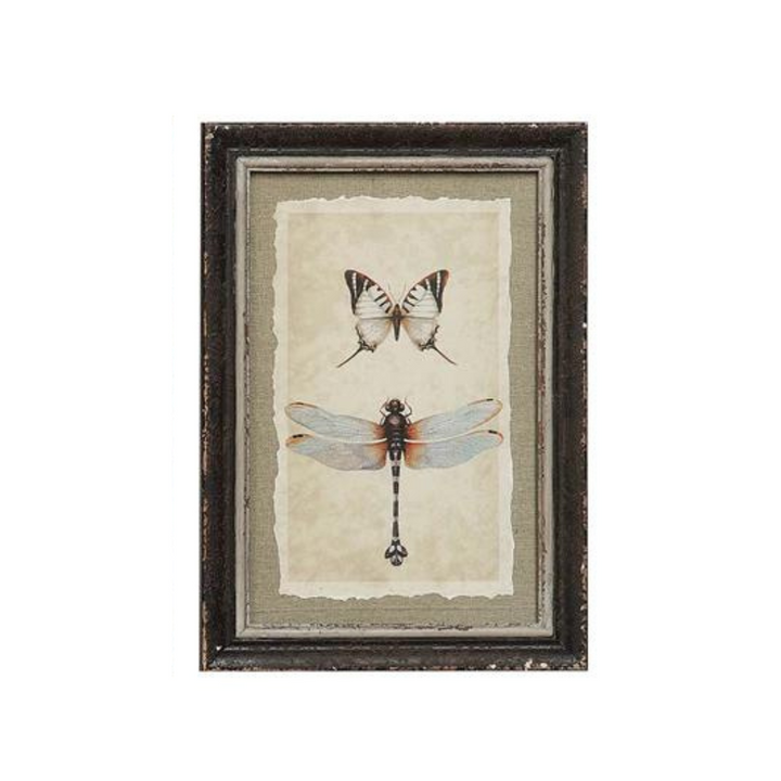 Framed Insect Print - Madison's Niche 