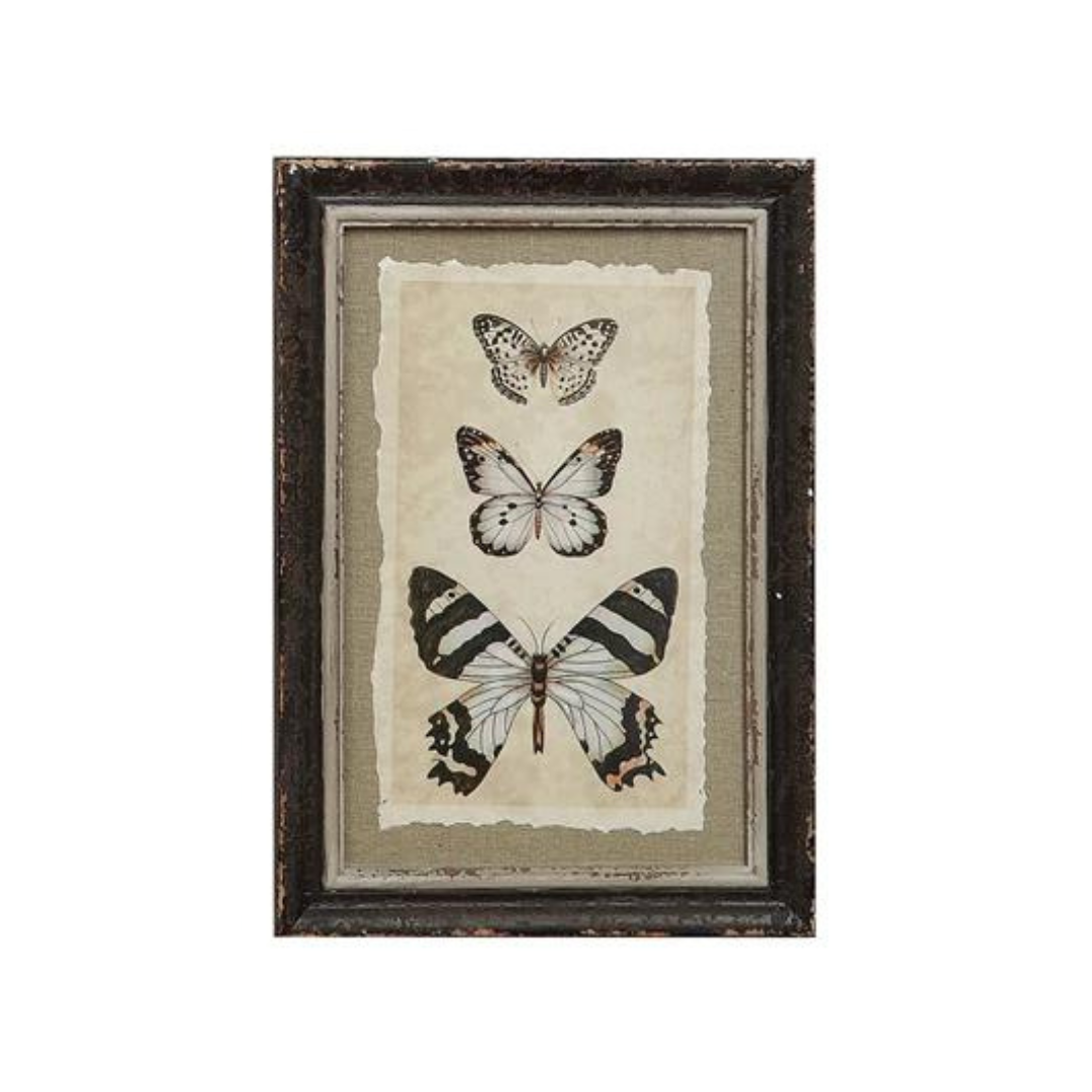 Framed Insect Print - Madison's Niche 