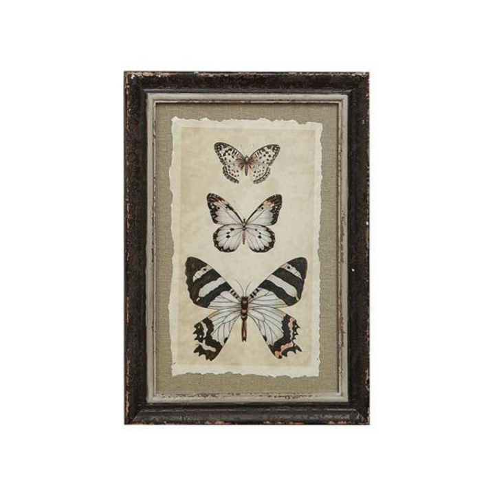 Framed Insect Print - Madison's Niche 