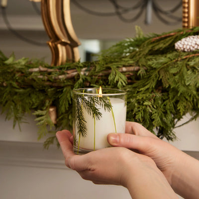Frasier Fir Needle Candle - Madison's Niche 