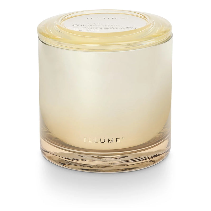 Isla Lily Glass Candle - Madison's Niche 