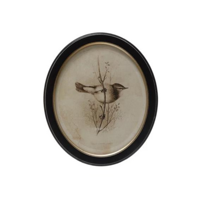 Oval Framed Bird Print - Madison's Niche 
