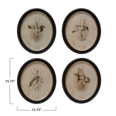 Oval Framed Bird Print - Madison's Niche 