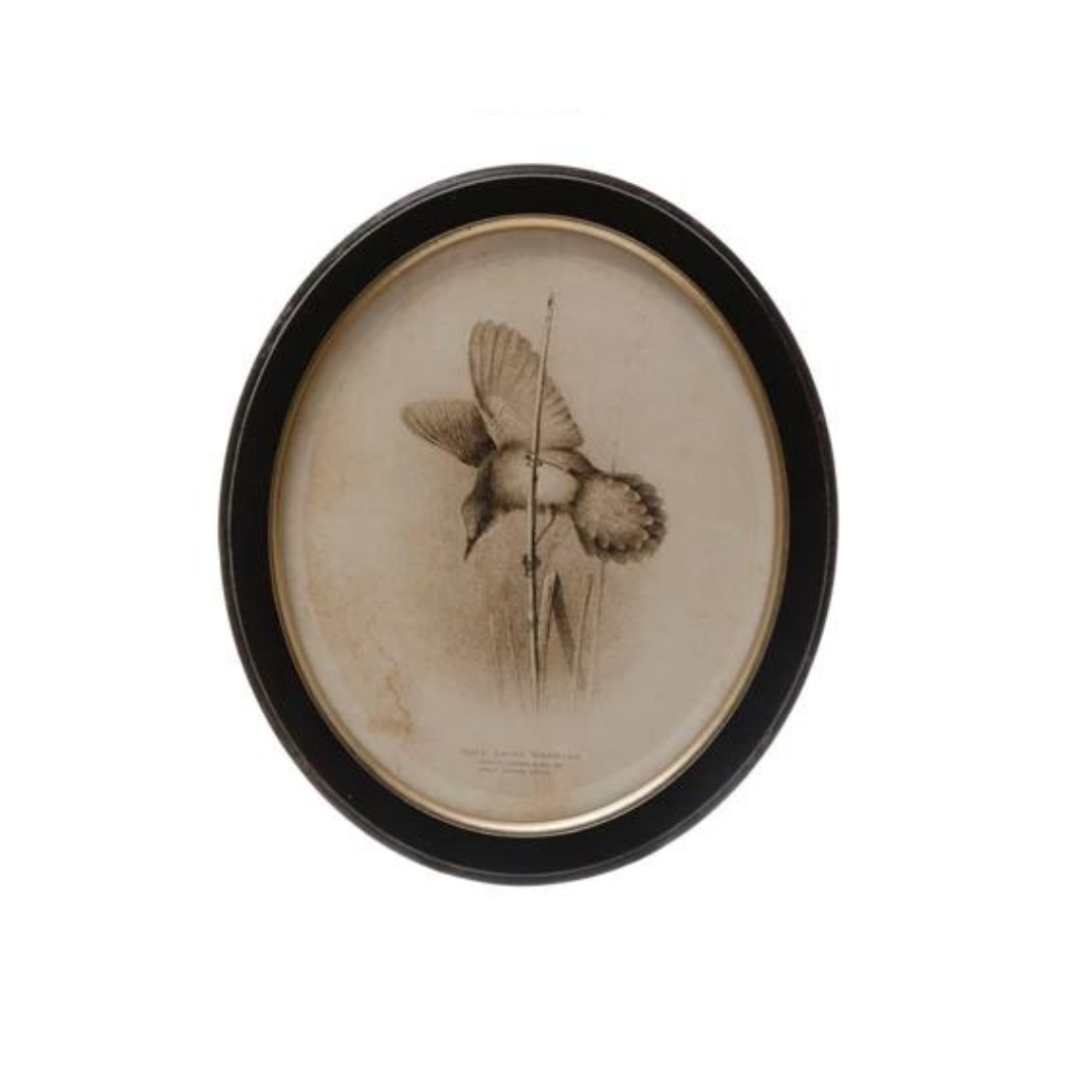 Oval Framed Bird Print - Madison's Niche 