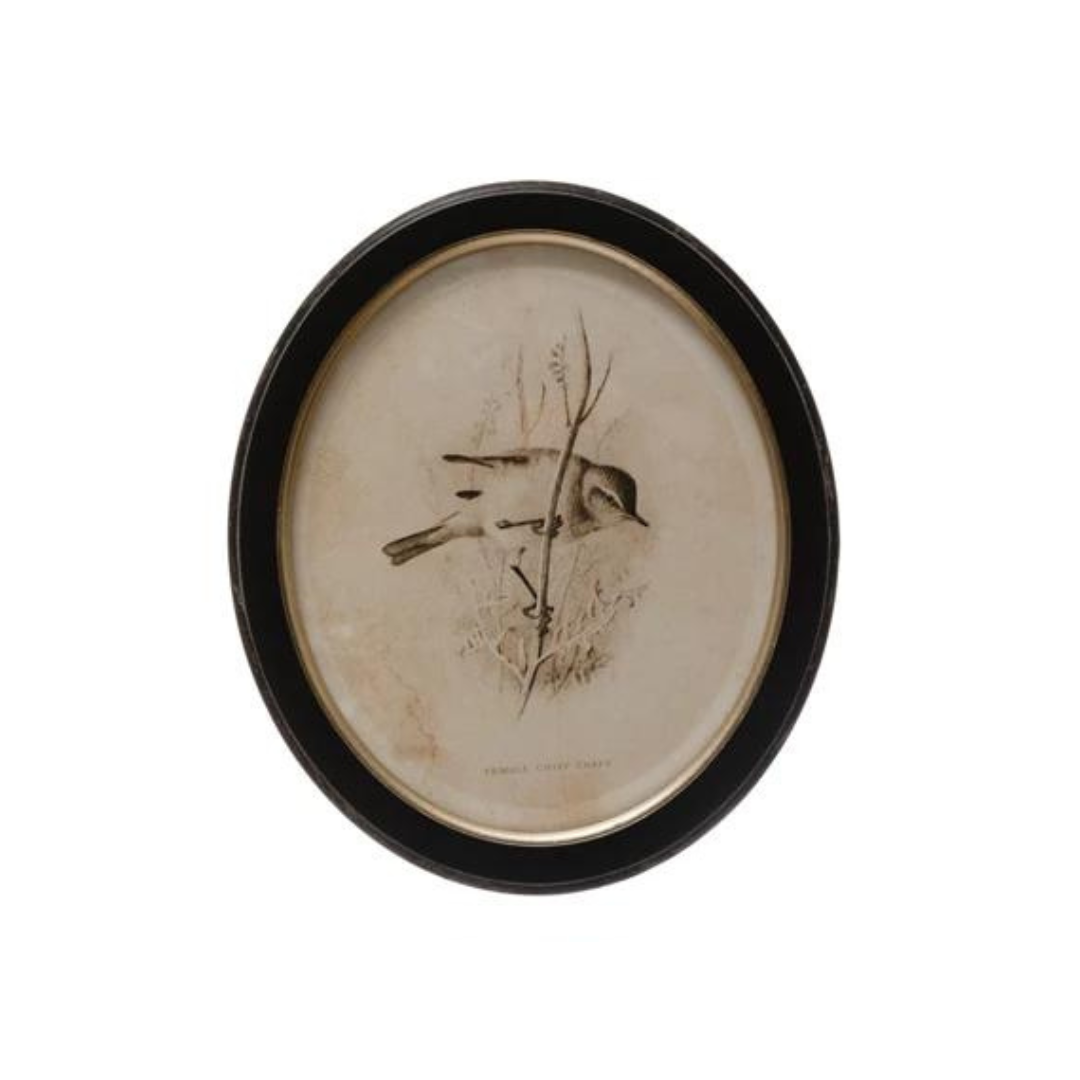 Oval Framed Bird Print - Madison's Niche 