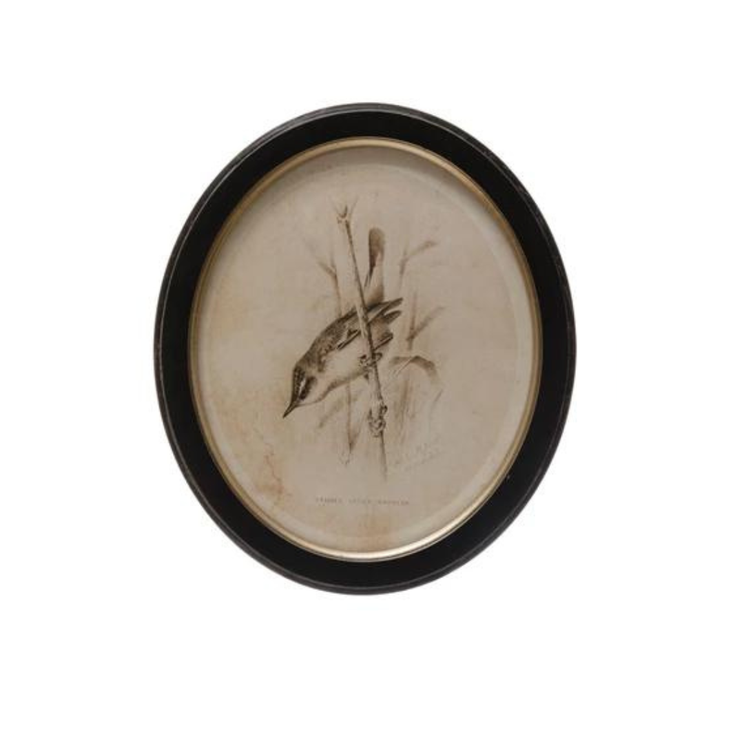 Oval Framed Bird Print - Madison's Niche 