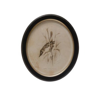 Oval Framed Bird Print - Madison's Niche 