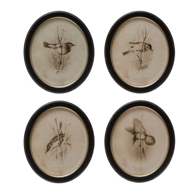 Oval Framed Bird Print - Madison's Niche 