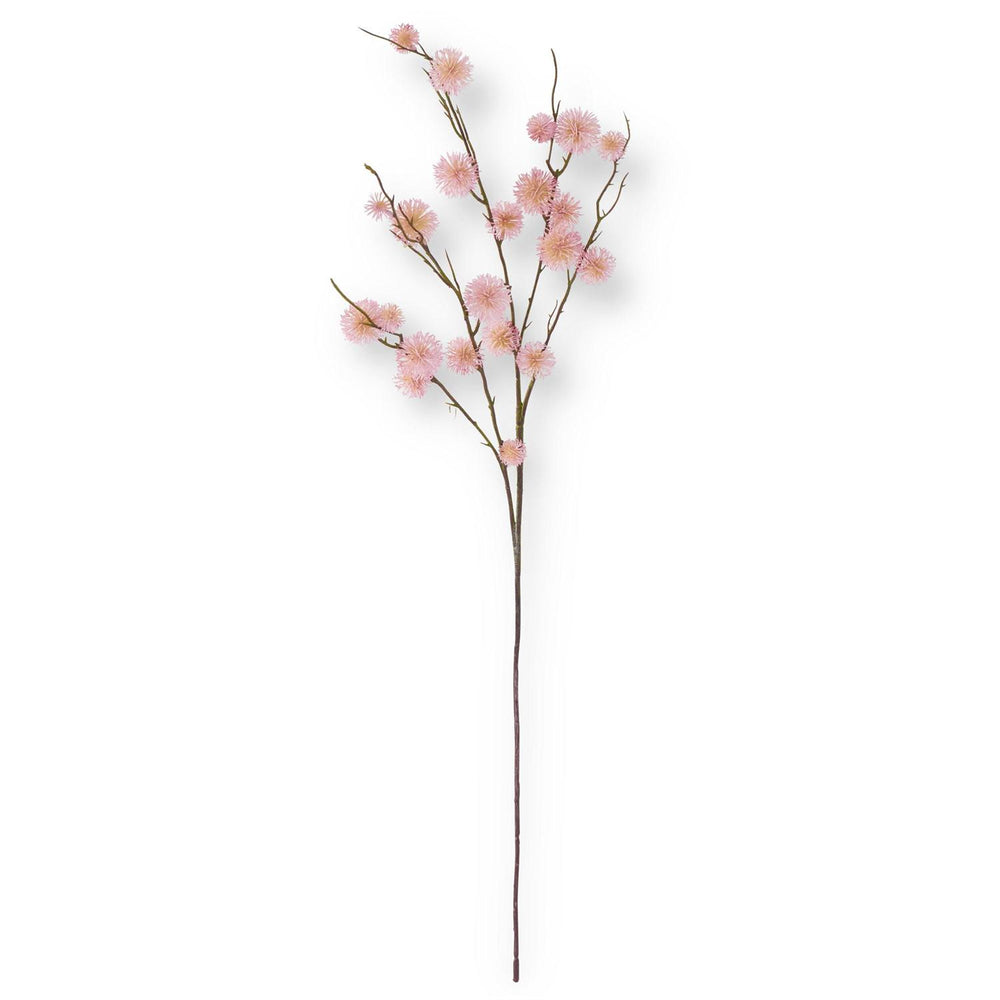 Pink Sycamore Stem - Madison&