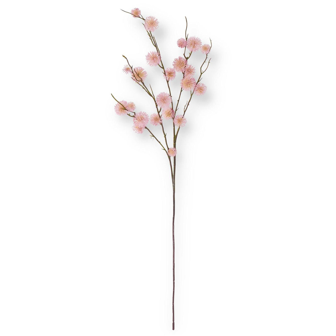 Pink Sycamore Stem - Madison's Niche 