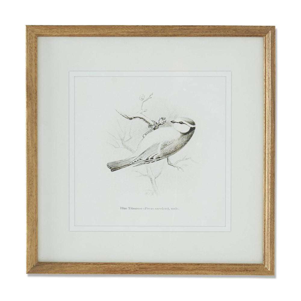 Song Bird Print - Madison's Niche 