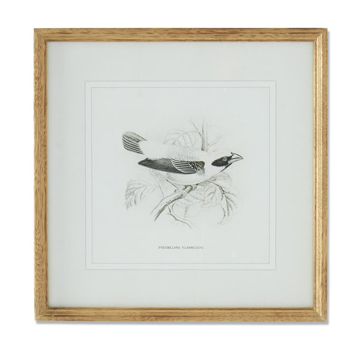 Song Bird Print - Madison's Niche 