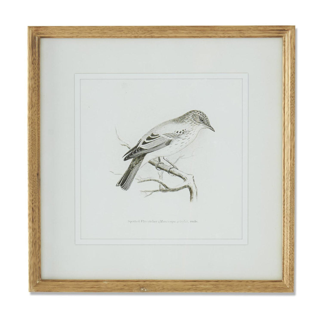 Song Bird Print - Madison's Niche 