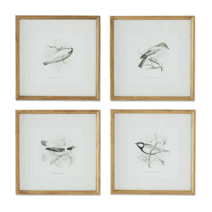 Song Bird Print - Madison's Niche 