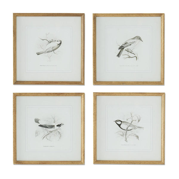 Song Bird Print Madison's Niche 