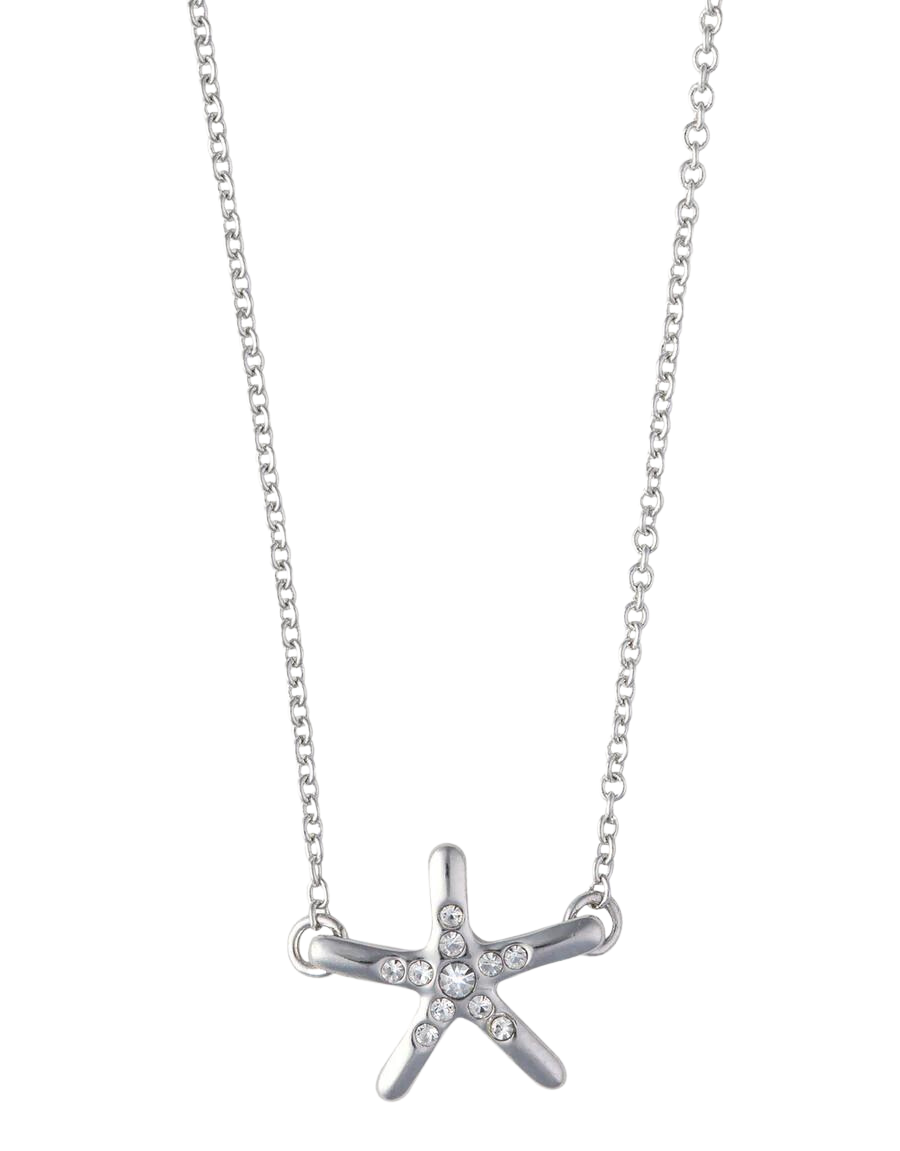 Starfish "Shine" Necklace in Silver - Madison's Niche 